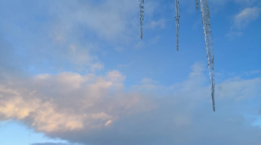 Imagen de WhatsApp 2025-01-23 a las 17.38.43_8b58db0d