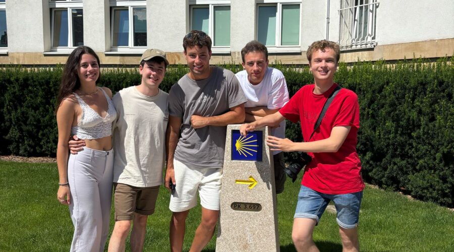 Imagen de WhatsApp 2025-07-02 a las 11.24.57_a5789fe5