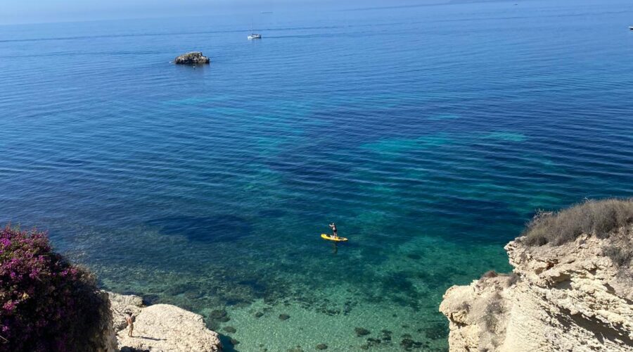 Imagen de WhatsApp 2024-07-15 a las 12.26.55_849821c6