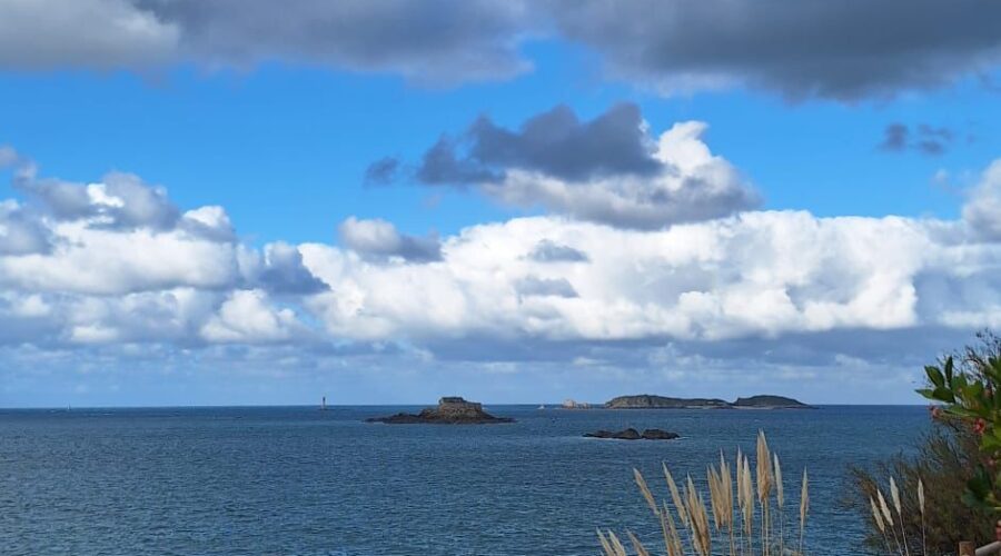 WhatsApp Image 2025-11-29 at 13.35.55 (2)