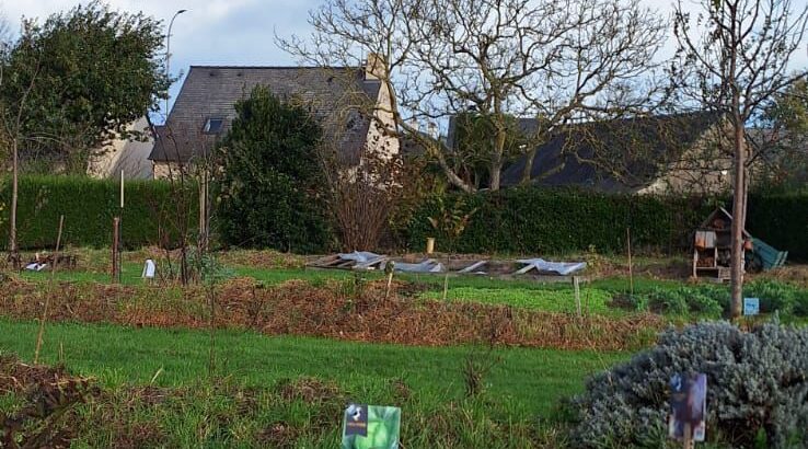 WhatsApp Image 2025-11-29 at 13.35.56 (1)