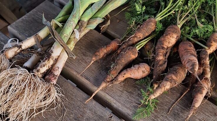 WhatsApp Image 2025-11-29 at 13.35.56 (2)