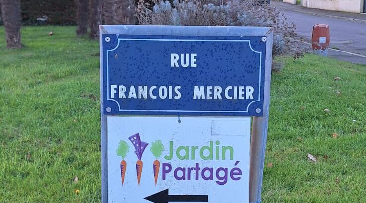 WhatsApp Image 2025-11-29 at 13.35.57 (1)