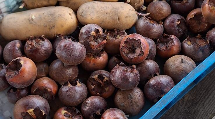 WhatsApp Image 2025-11-29 at 13.35.57 (2)