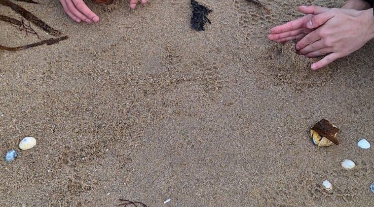 WhatsApp Image 2025-11-29 at 13.35.57 (3)