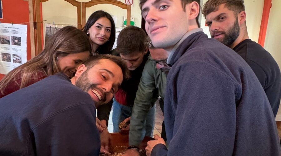 WhatsApp Image 2025-11-29 at 13.35.58 (1)