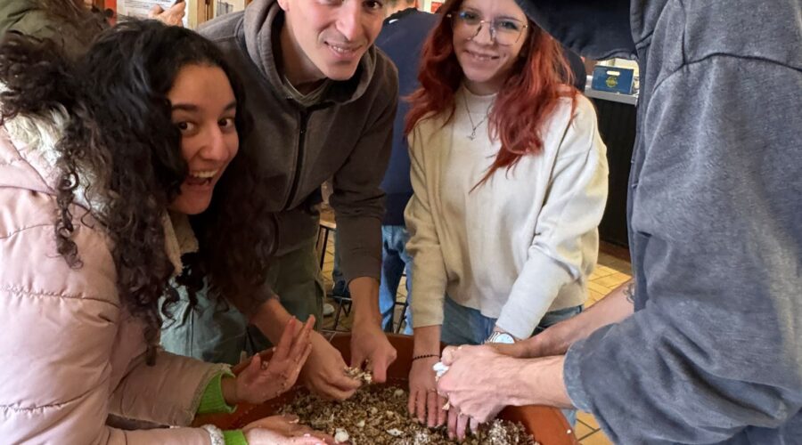 WhatsApp Image 2025-11-29 at 13.35.58 (2)