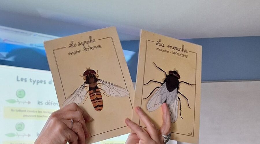 WhatsApp Image 2025-11-29 at 13.35.59 (4)