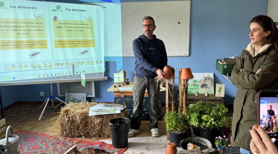 WhatsApp Image 2025-11-29 at 13.35.59