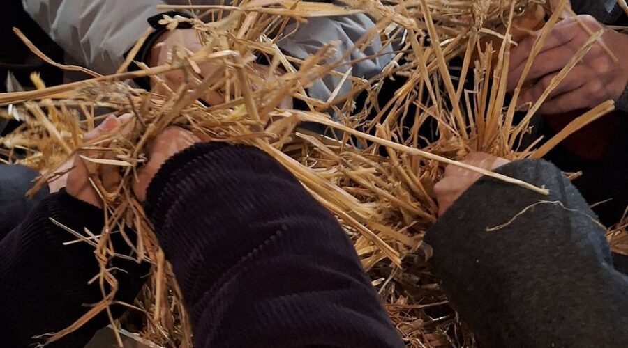 WhatsApp Image 2025-11-29 at 13.36.00 (1)