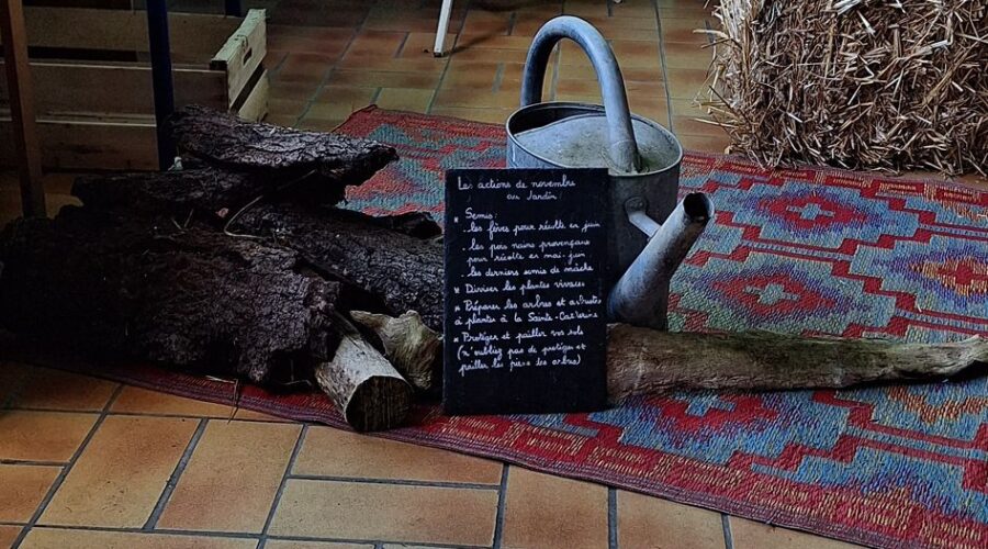 WhatsApp Image 2025-11-29 at 13.36.00