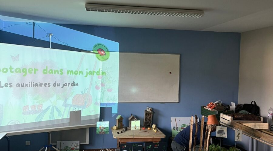 WhatsApp Image 2025-11-29 at 13.36.03 (1)